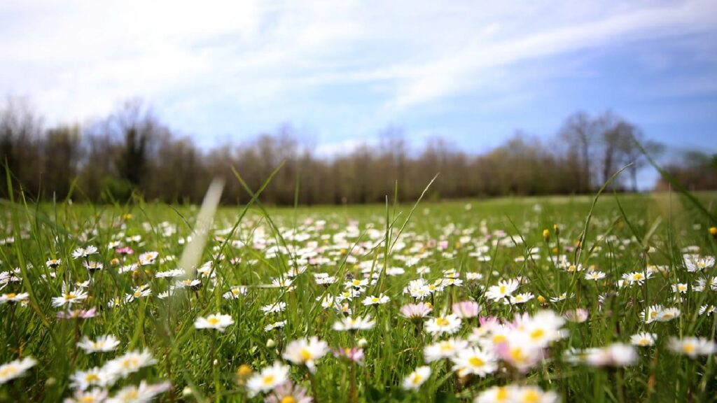 Son Cemre Toprakla Buluştu
